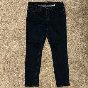 Banana Republic Women's Blue Jeans Skinny Fit